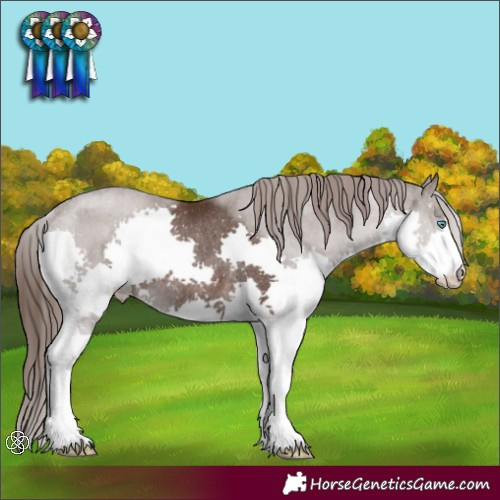 Horse Color:Liver Chestnut Splash Rabicano 