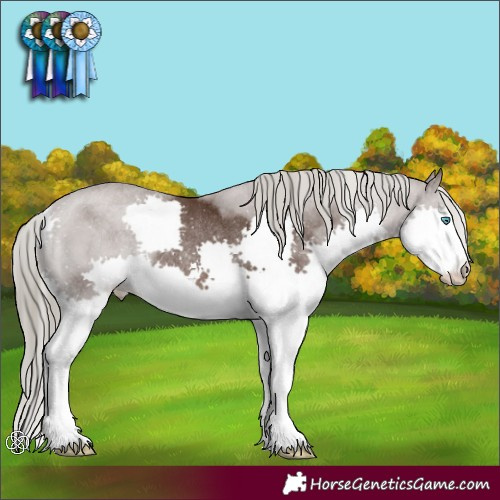 Horse Color:Liver Chestnut Splash Rabicano 