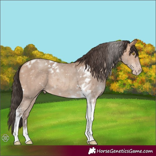 Horse Color:Amber Champagne Tobiano