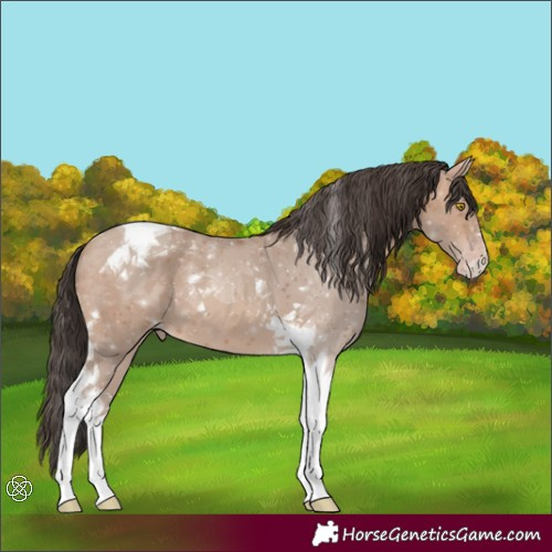 Horse Color:Sable Champagne Tobiano 