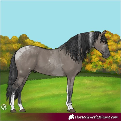 Horse Color:Grullo Tobiano 