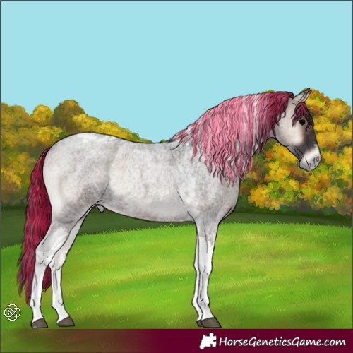 Horse Color:Painted Blue Onyx Roan Tobiano