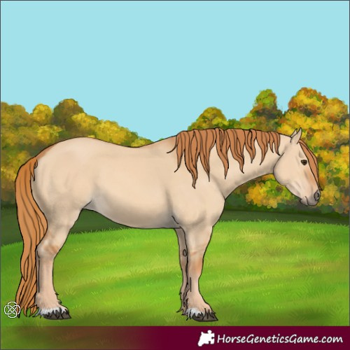 Horse Color:Red Dun