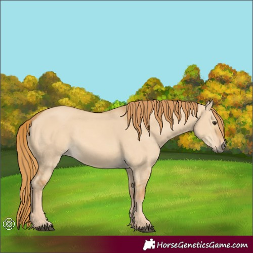 Horse Color:Red Dun