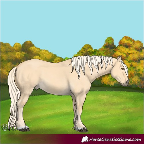 Horse Color:Palomino Dun