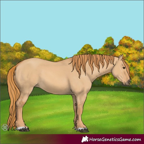 Horse Color:Red Dun 