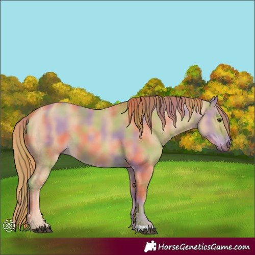 Horse Color:Nacre Red Dun 