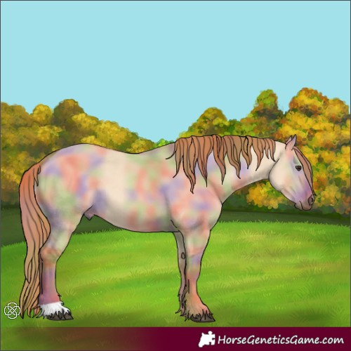 Horse Color:Nacre Red Dun