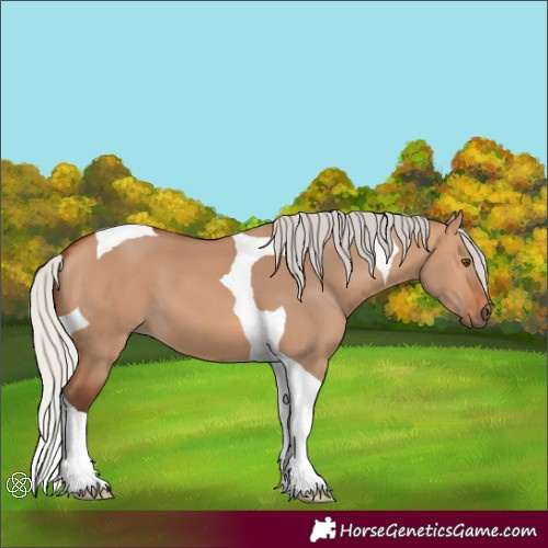 Horse Color:Silver Bay Dun Tobiano 