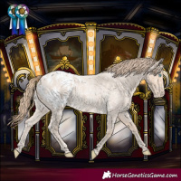 Horse Color:Perlino Roan Blanket 