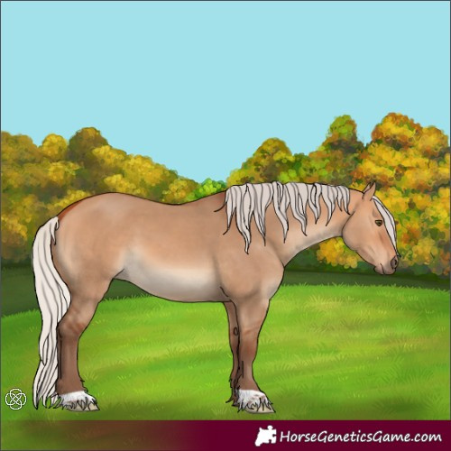 Horse Color:Silver Bay Dun 