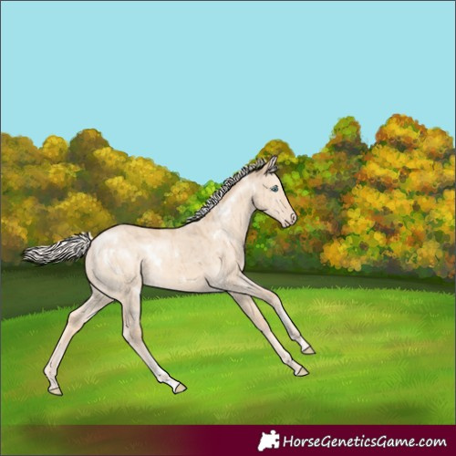 Horse Color:White Spotted Cremello Dun Brindle