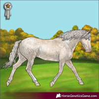 Horse Color:White Spotted Cremello Dun Brindle 