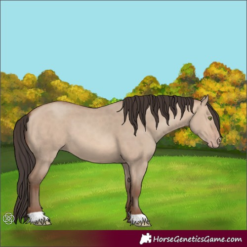 Horse Color:Sable Champagne Dun