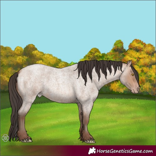 Horse Color:Amber Champagne Roan
