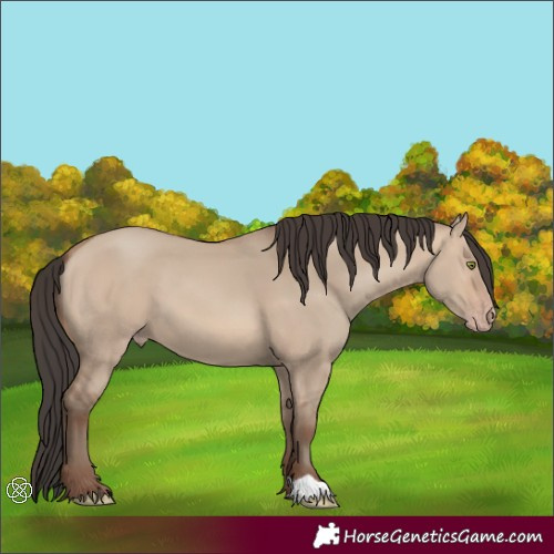 Horse Color:Sable Champagne Dun