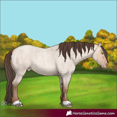Horse Color:Amber Champagne Roan Dun 
