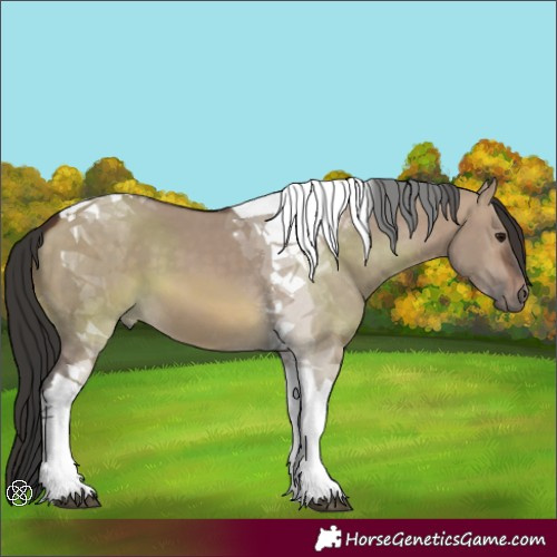 Horse Color:Brown Dun Tobiano 