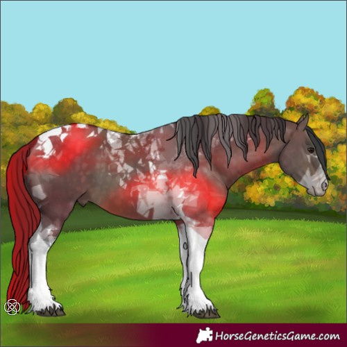 Horse Color:Brown Dun Tobiano 