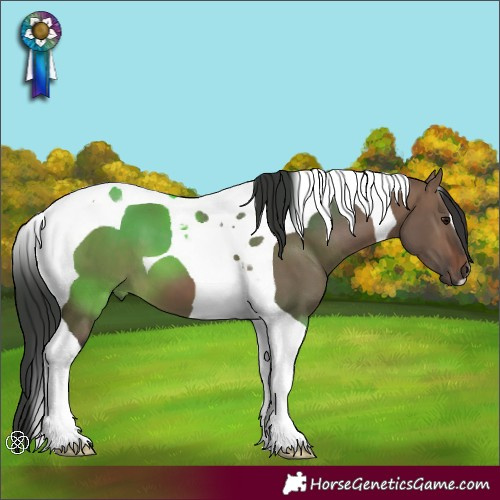 Horse Color:Brown Dun Tobiano