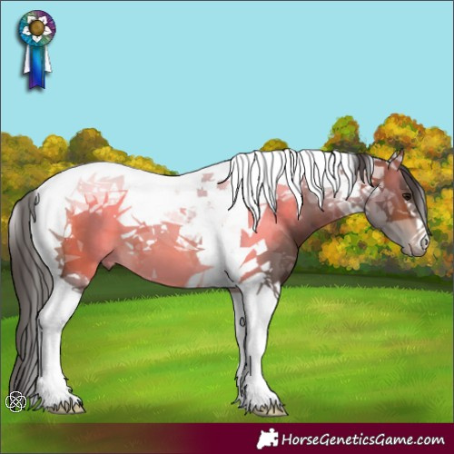 Horse Color:Bay Tobiano 