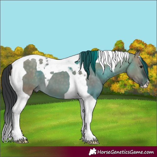 Horse Color:Brown Dun Tobiano