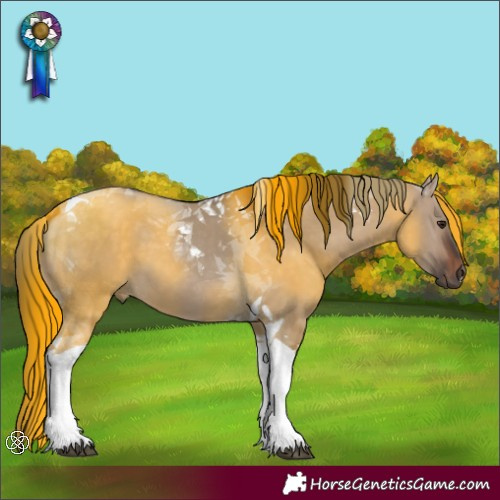 Horse Color:Brown Dun Tobiano