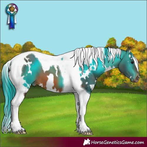 Horse Color:White Spotted Bay Tobiano 