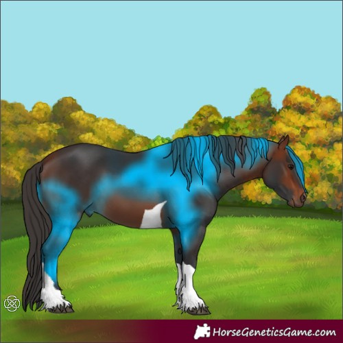 Horse Color:Bay Tobiano 
