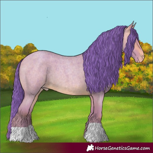 Horse Color:Watercolor Sable Champagne Roan Varnish