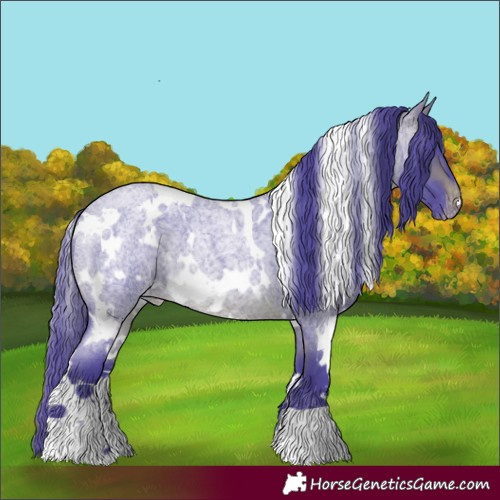 Horse Color:Watercolor White Spotted Brown Roan Varnish 