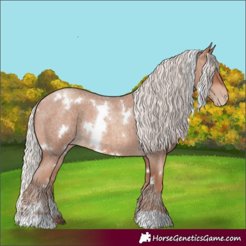 Horse Color:White Spotted Silver Sable Champagne Roan Appaloosa 