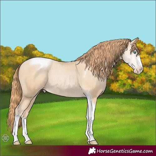 Horse Color:Smoky Black Pearl Tobiano Appaloosa Rabicano