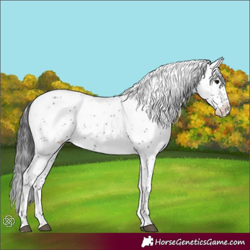 Horse Color:Black Sabino