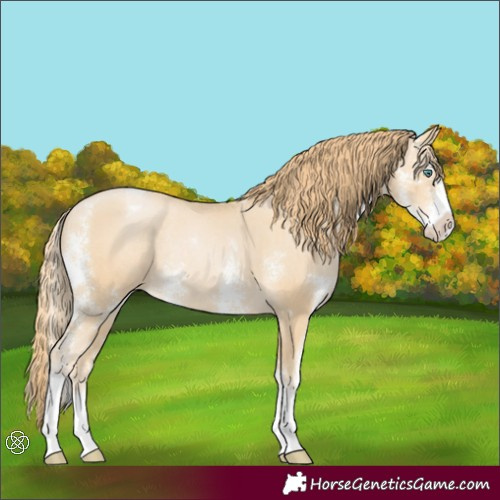 Horse Color:Smoky Black Pearl Sabino Appaloosa Rabicano 