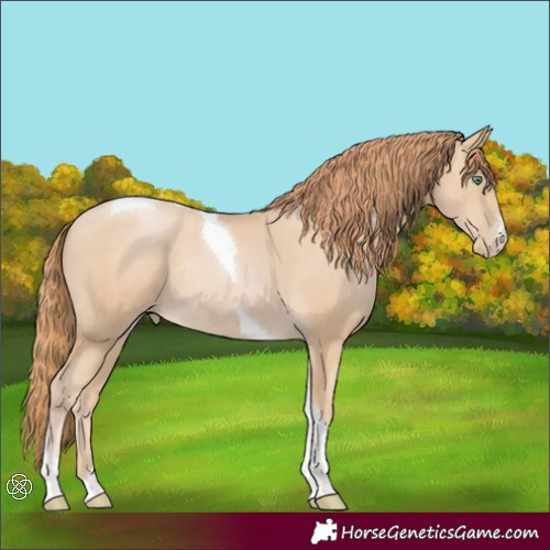 Horse Color:Smoky Black Pearl Tobiano Rabicano 