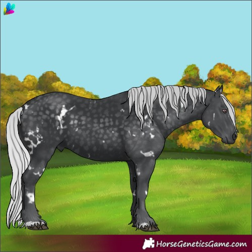 Horse Color:White Spotted Silver Black Chinchilla 