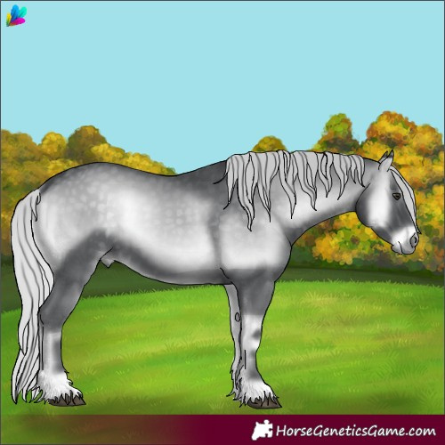 Horse Color:Silver Blue Onyx Chinchilla 