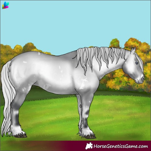 Horse Color:White Spotted Silver Bay Chinchilla Onyx