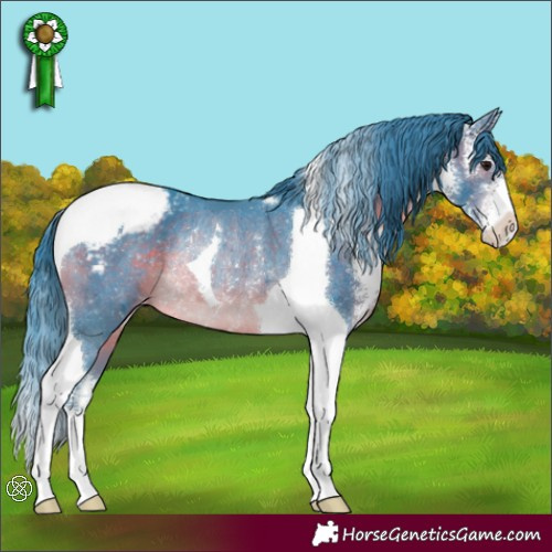 Horse Color:Watercolor Brown Sabino Tobiano Appaloosa Rabicano 