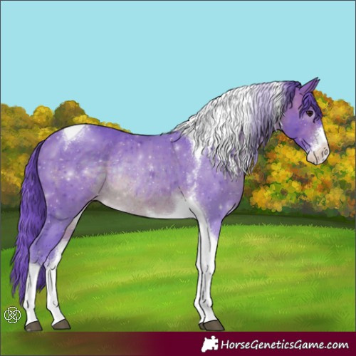 Horse Color:Watercolor Brown Sabino Tobiano Appaloosa Rabicano