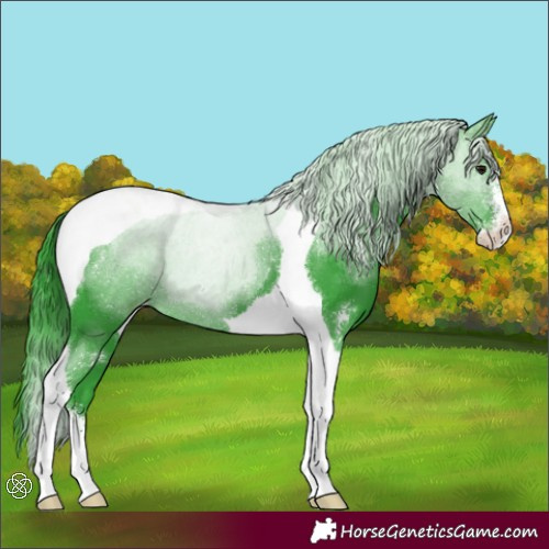Horse Color:Watercolor Black Sabino Tobiano Appaloosa 