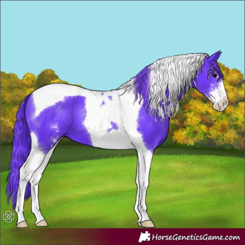 Horse Color:Watercolor Black Sabino Tobiano