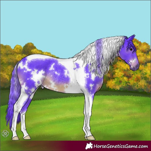 Horse Color:Watercolor White Spotted Black Tobiano Rabicano 