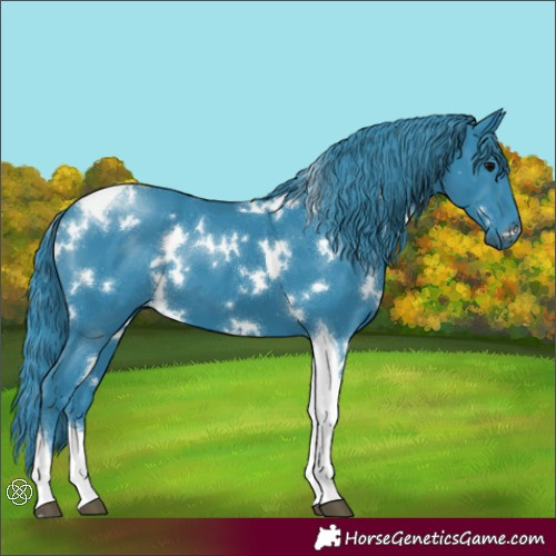 Horse Color:Watercolor White Spotted Black Tobiano