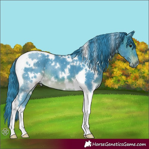 Horse Color:Watercolor White Spotted Brown Tobiano 