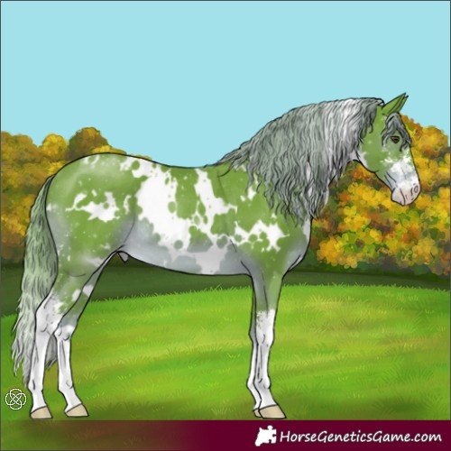 Horse Color:Watercolor White Spotted Liver Chestnut Sabino Varnish Rabicano 