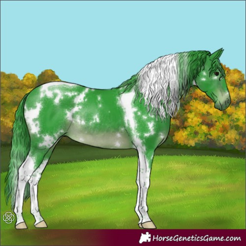 Horse Color:Watercolor White Spotted Brown Tobiano Rabicano