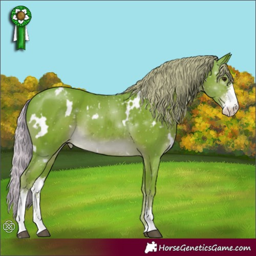 Horse Color:Watercolor White Spotted Liver Chestnut Sabino Appaloosa