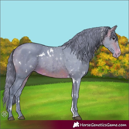 Horse Color:Watercolor White Spotted Brown Sabino Varnish Rabicano